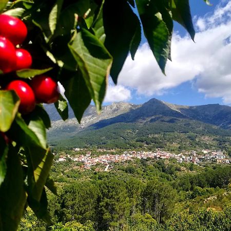 Albareilla By #Cherrygredos Ελ Αρενάλ Εξωτερικό φωτογραφία