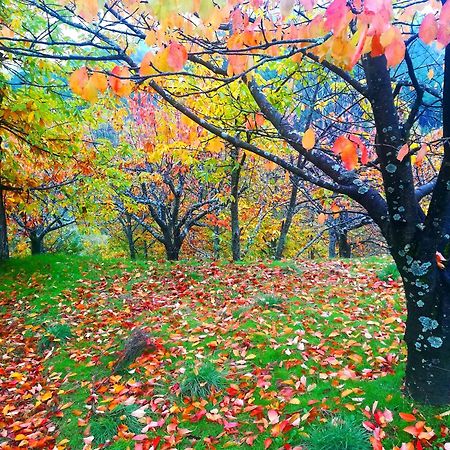 Albareilla By #Cherrygredos Ελ Αρενάλ Εξωτερικό φωτογραφία
