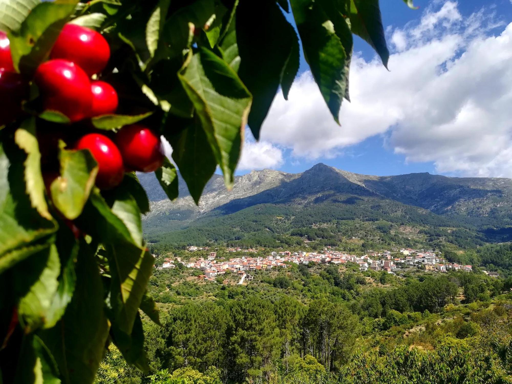 Albareilla By #Cherrygredos Ελ Αρενάλ Εξωτερικό φωτογραφία