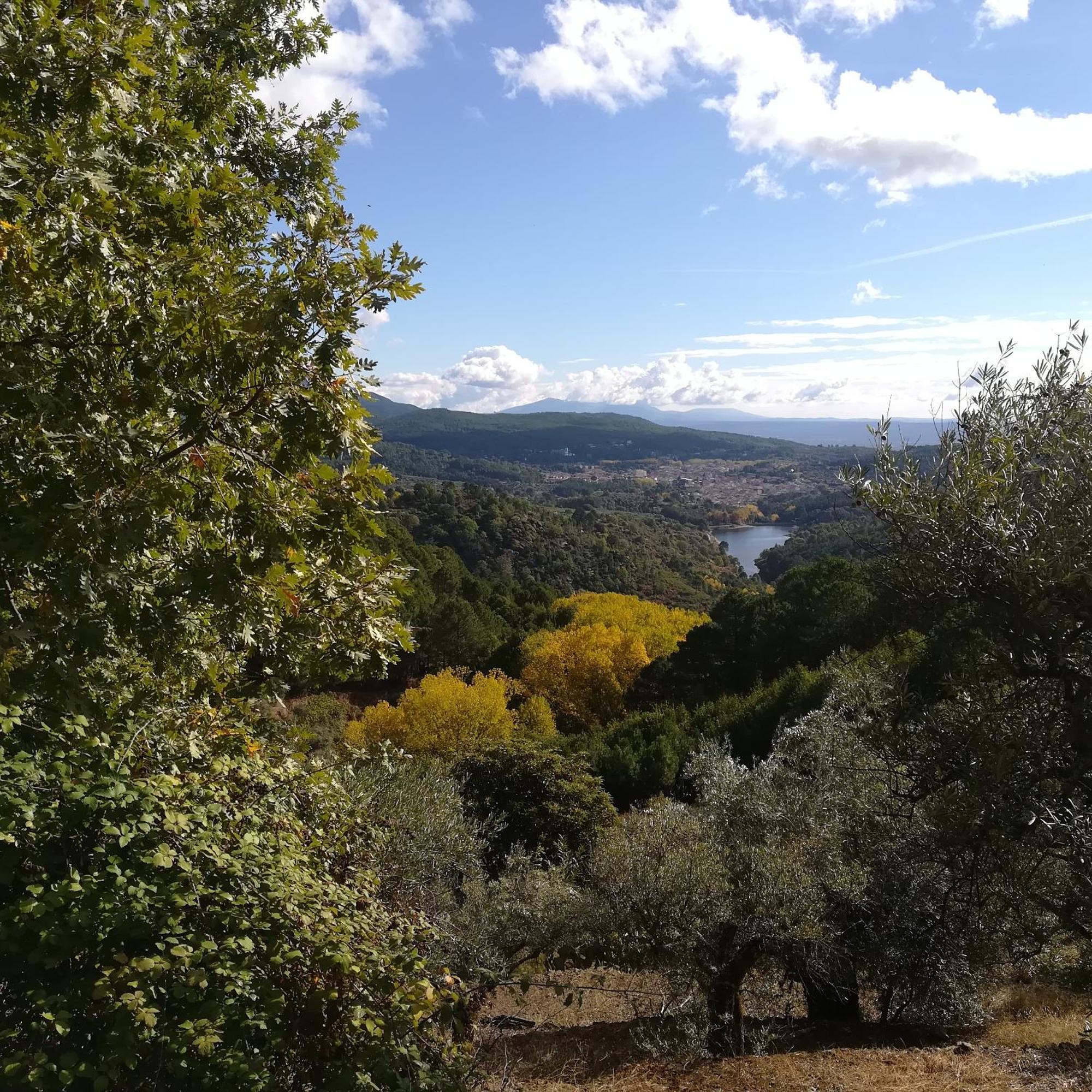 Albareilla By #Cherrygredos Ελ Αρενάλ Εξωτερικό φωτογραφία