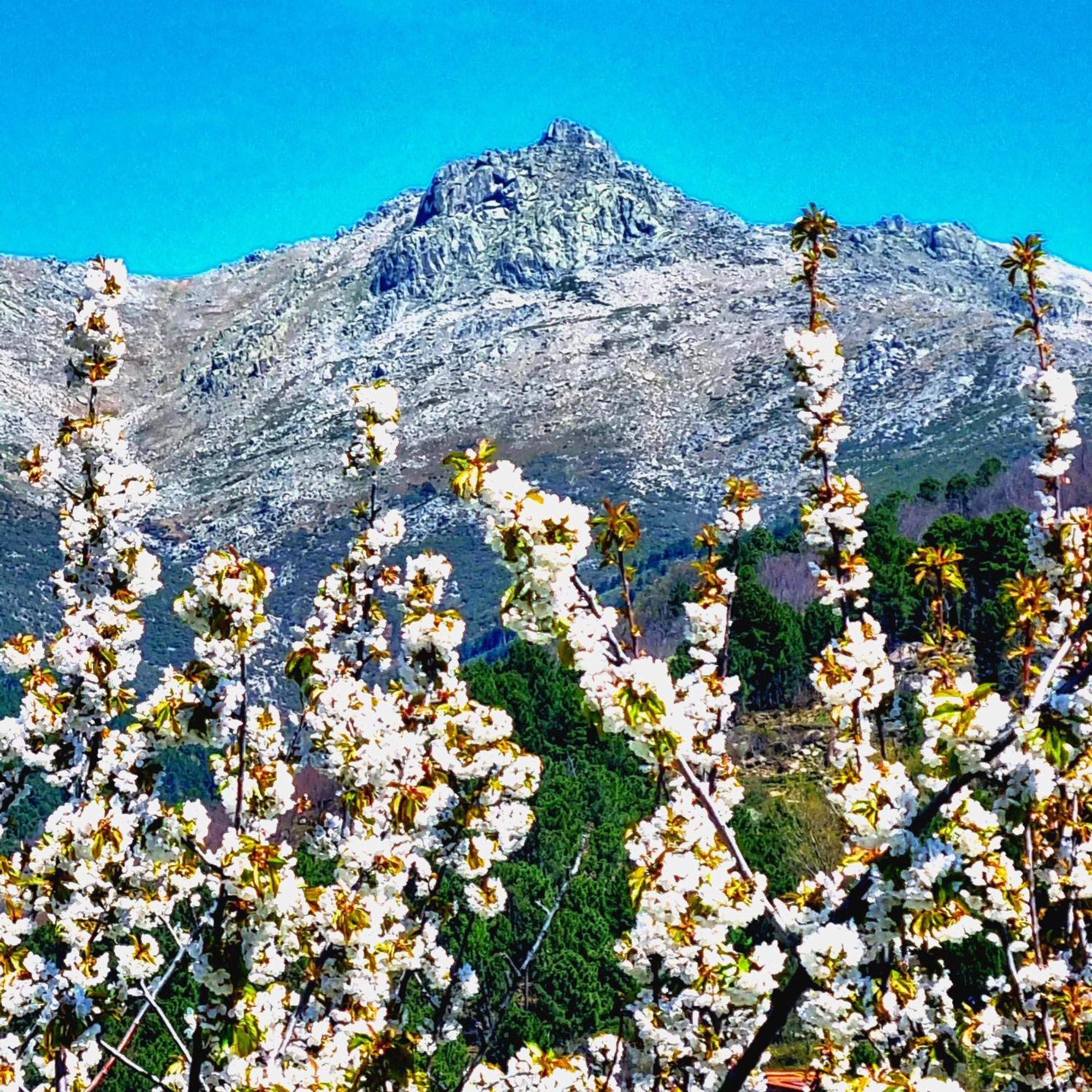 Albareilla By #Cherrygredos Ελ Αρενάλ Εξωτερικό φωτογραφία