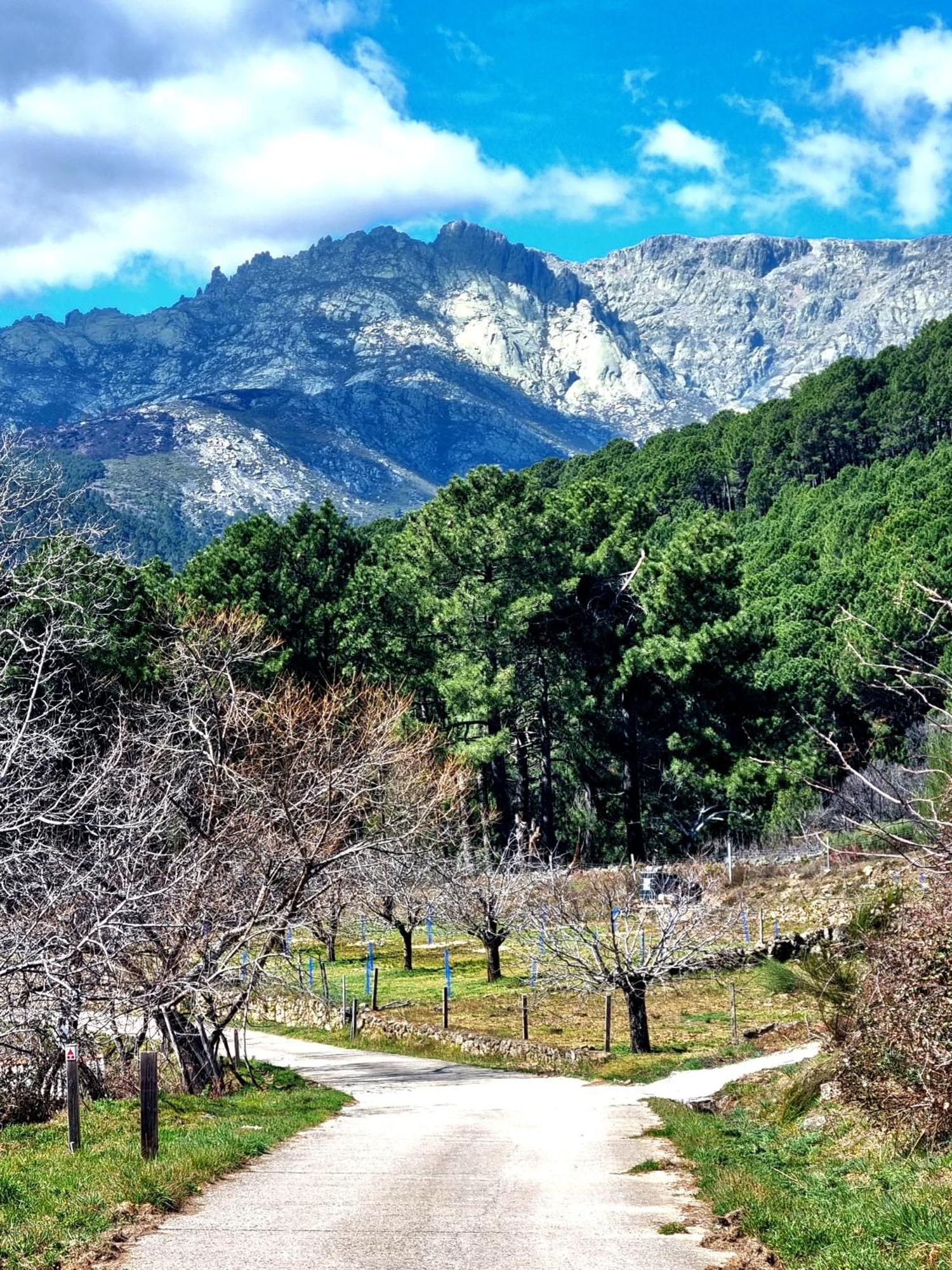 Albareilla By #Cherrygredos Ελ Αρενάλ Εξωτερικό φωτογραφία