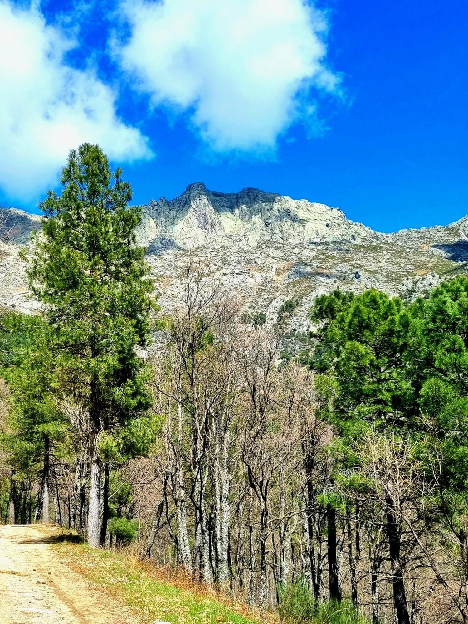 Albareilla By #Cherrygredos Ελ Αρενάλ Εξωτερικό φωτογραφία